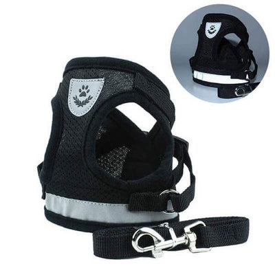 Reflective Safety Harness and Leash Set
