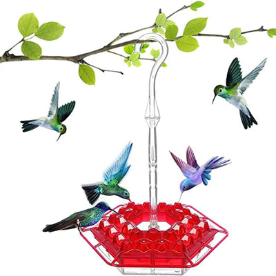 Mary's Hummingbird Feeder with Perch and Built-in Ant Moat