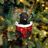 Pet In Snow Pocket Christmas Ornament