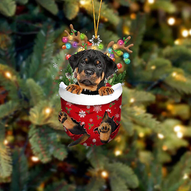 Rottweiler In Snow Pocket Christmas Ornament SP012