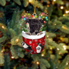 American Staffordshire Terrier In Snow Pocket Christmas Ornament SP052