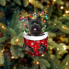 Cairn Terrier In Snow Pocket Christmas Ornament SP057