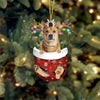 Carolina Dog In Snow Pocket Christmas Ornament SP063