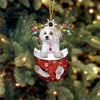 Maltese And Yorkie Mix In Snow Pocket Christmas Ornament SP064
