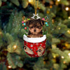 Maltese And Yorkie Mix In Snow Pocket Christmas Ornament SP067