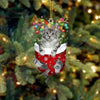 Cat In Snow Pocket Christmas Ornament SP179