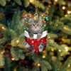 Cat In Snow Pocket Christmas Ornament SP193