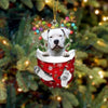 Dogo Argentino In Snow Pocket Christmas Ornament SP239