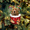 English Cocker Spaniel In Snow Pocket Christmas Ornament SP241