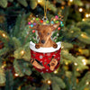 Miniature Pinscher In Snow Pocket Christmas Ornament SP267