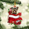Yorkshire Terrier In Gift Bag Christmas Ornament GB007