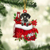 German Shorthaired Pointer In Gift Bag Christmas Ornament GB023