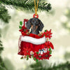 Pet In Gift Bag Christmas Ornament