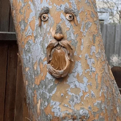 🌳Unique Bird Feeders for Outdoors Old Man Tree Art