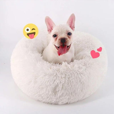 Small Dog Calming Bed